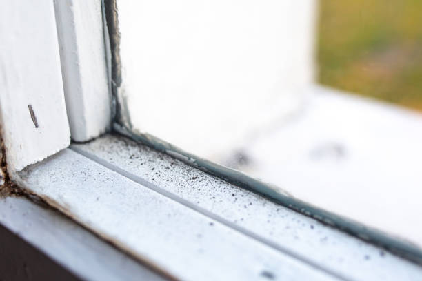 Best Mold Removal for HVAC Installations  in Warsaw, KY
