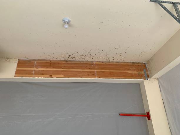 Best Post-Remediation Verification Testing  in Warsaw, KY